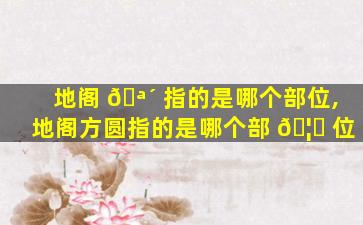 地阁 🪴 指的是哪个部位,地阁方圆指的是哪个部 🦄 位